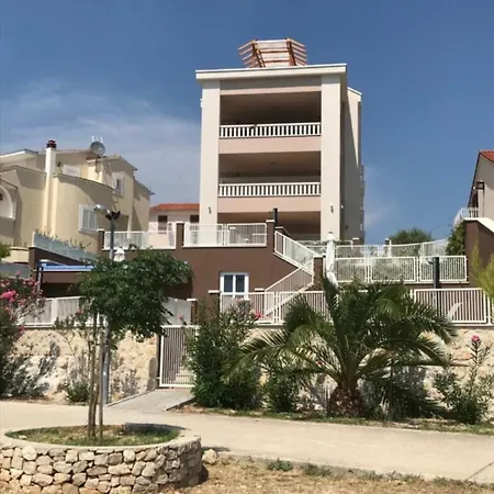 Pinna Nobilis Moma Level 1