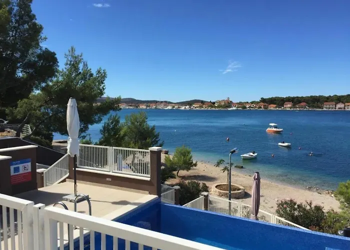 Pinna Nobilis Moma Level 1