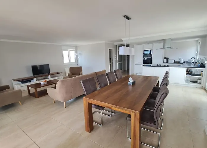 Pinna Nobilis Moma Level 1 브로다리카